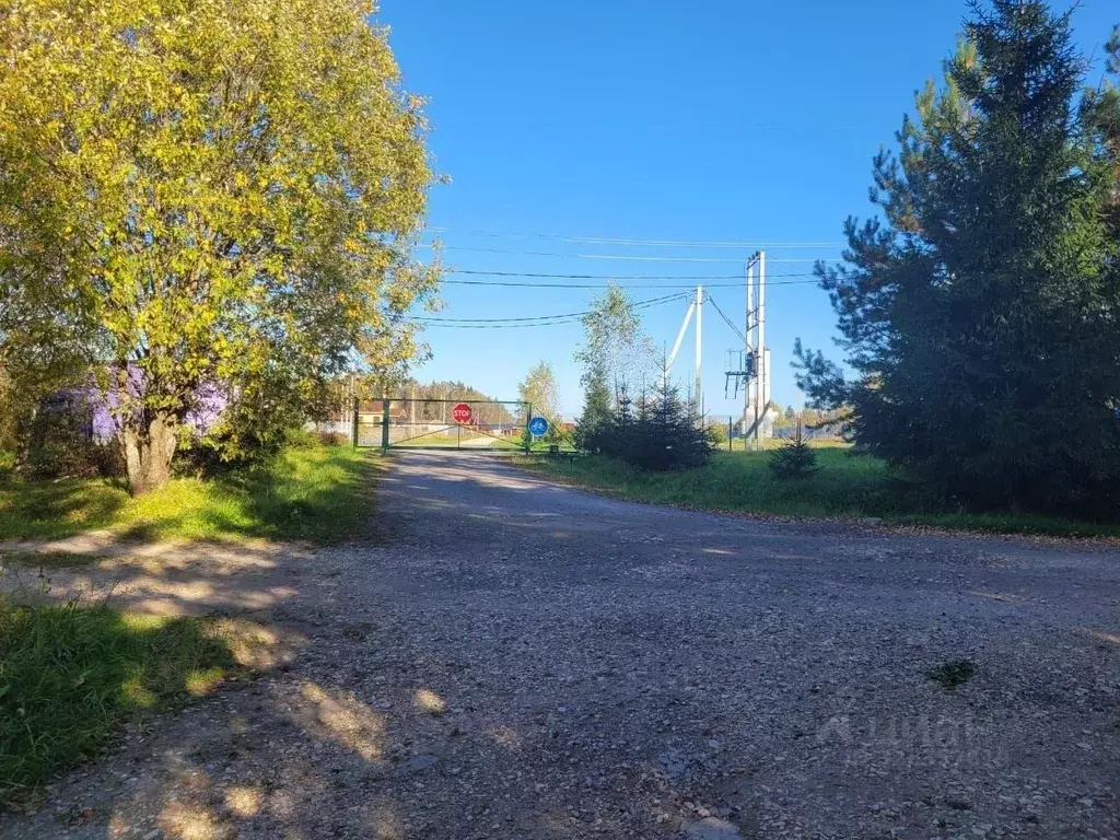 Участок в Московская область, Клин городской округ, д. Коськово  (2.0 ... - Фото 1