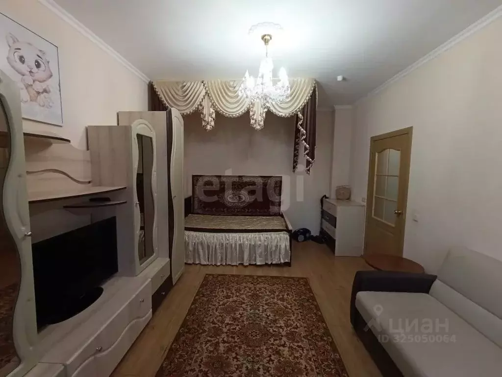 1-к кв. Псковская область, Псковский район, Завеличенская волость, д. ... - Фото 2