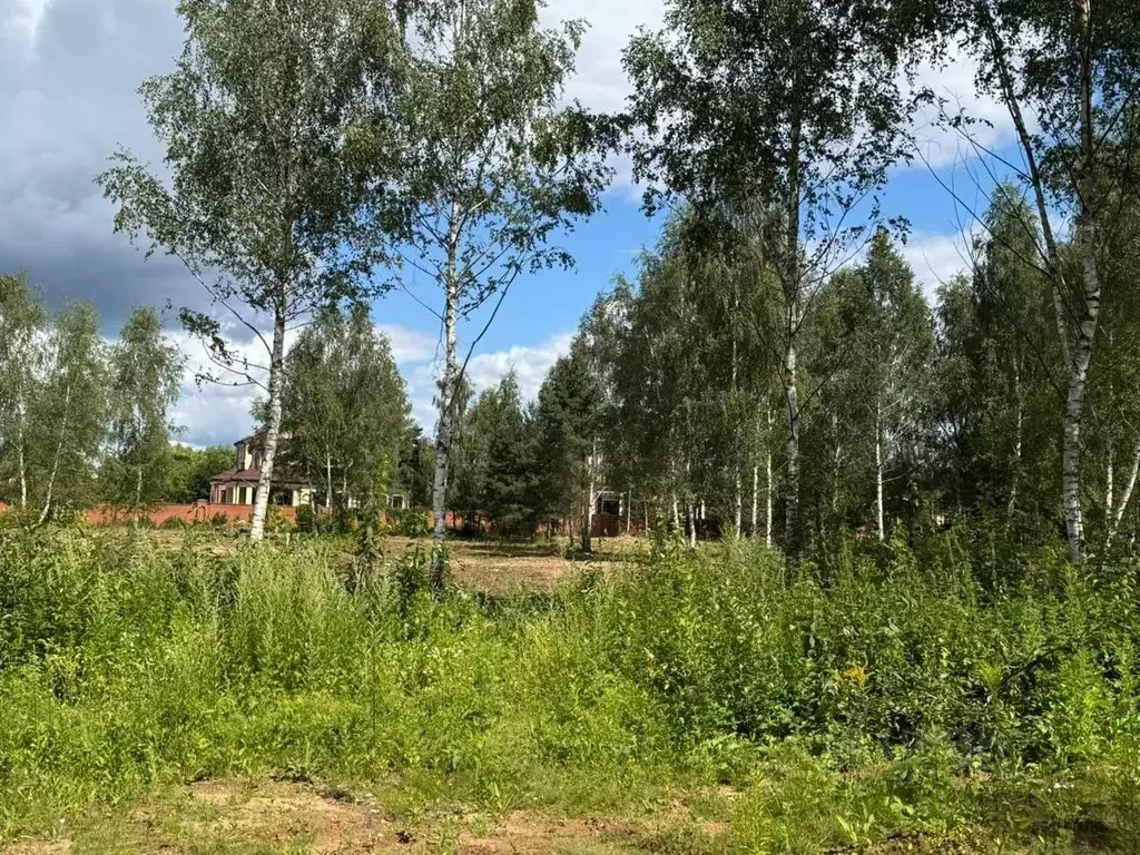 Участок в Московская область, Красногорск городской округ, д. ... - Фото 2