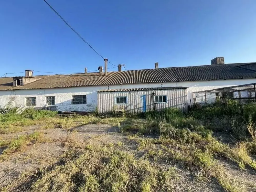 Помещение свободного назначения в Омская область, Омский район ... - Фото 1