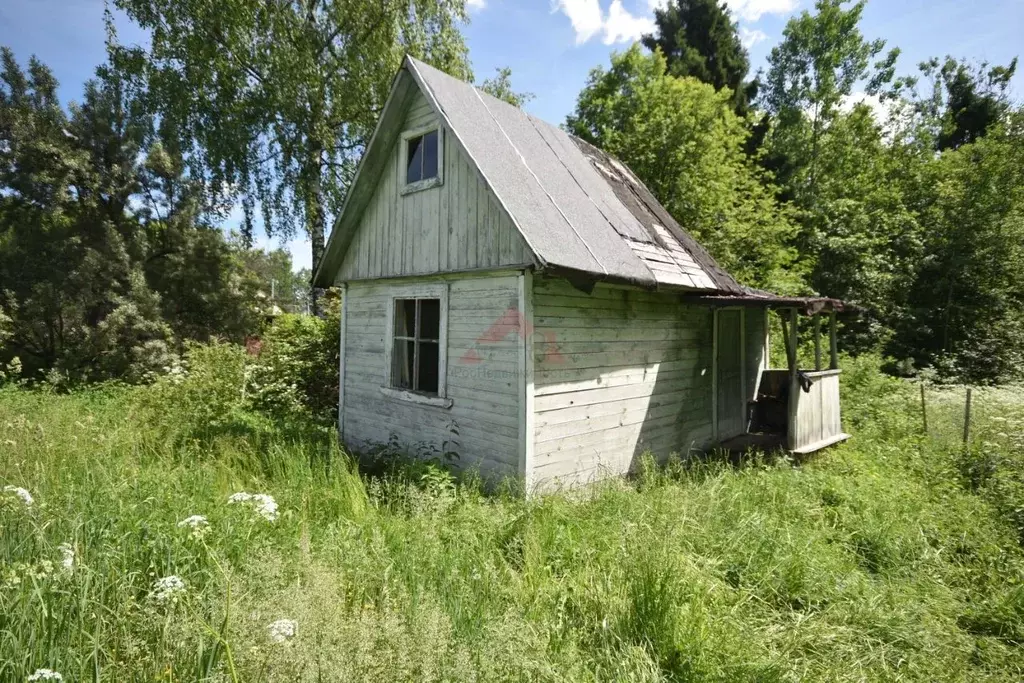 Участок в Владимирская область, Кольчугинский район, Раздольевское ... - Фото 1