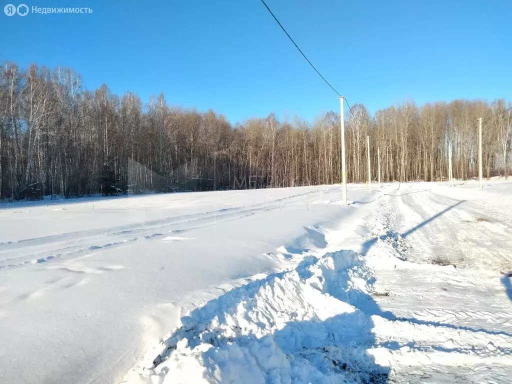 Участок в Тюменская область, село Ярково (10 м) - Фото 0