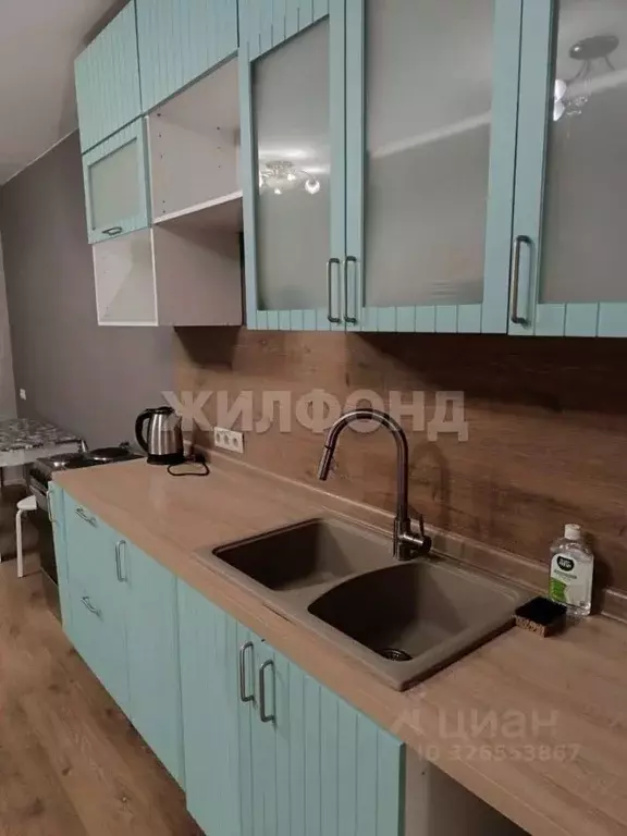 Студия Новосибирская область, Новосибирск ул. Виктора Шевелева, 38/1 ... - Фото 1