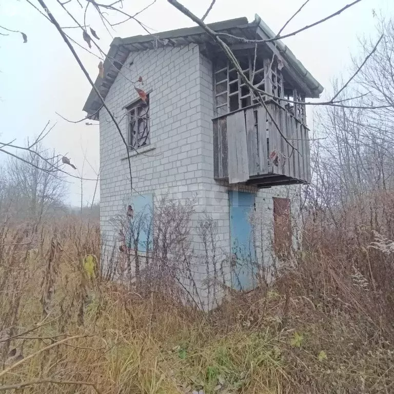 Участок в Добрунь, садоводческое некоммерческое товарищество Пищевик ... - Фото 1