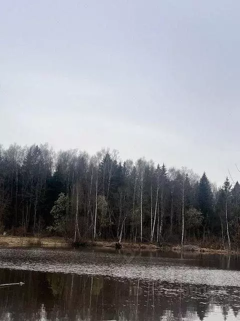 Участок, 15 сот., поселения (ижс) - Фото 1