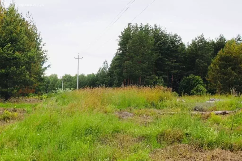 Участок в Нижегородская область, муниципальный округ Семёновский, ... - Фото 1