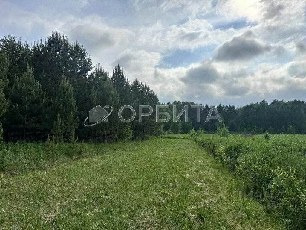 Участок в Тюменская область, Нижнетавдинский муниципальный округ, д. ... - Фото 2
