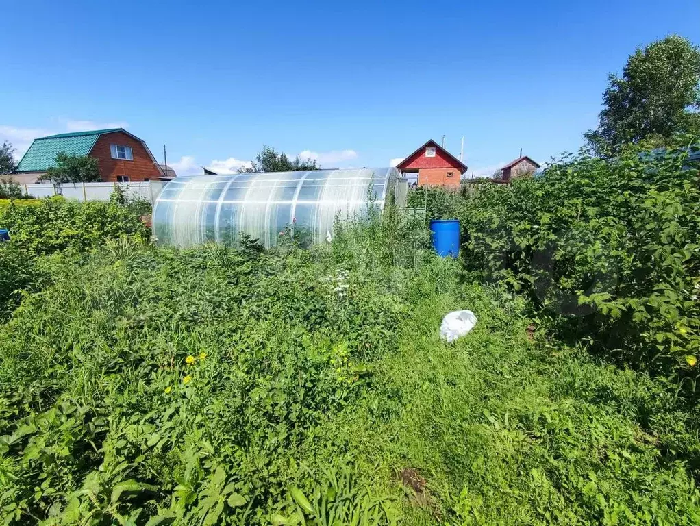 Участок 6,1 сот. (СНТ, ДНП) - Фото 0