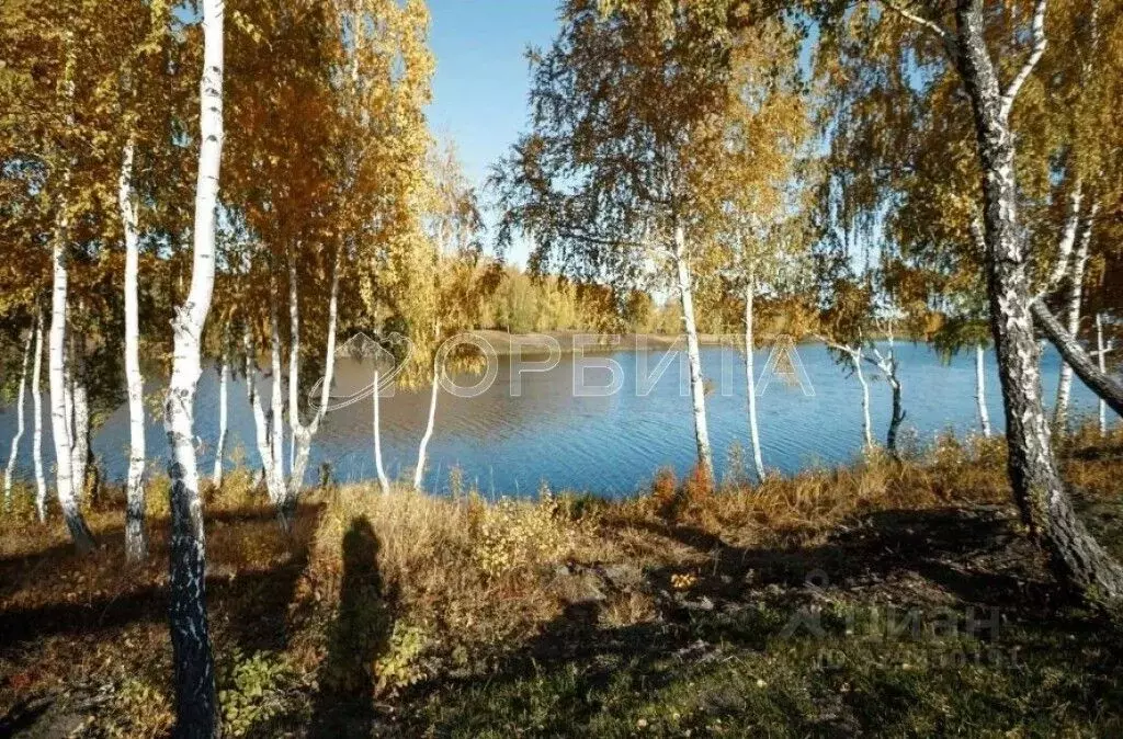 Участок в Тюменская область, Тюменский муниципальный округ, д. ... - Фото 2
