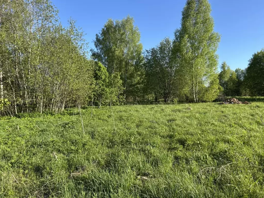 Участок в Владимирская область, Александровский район, ... - Фото 1