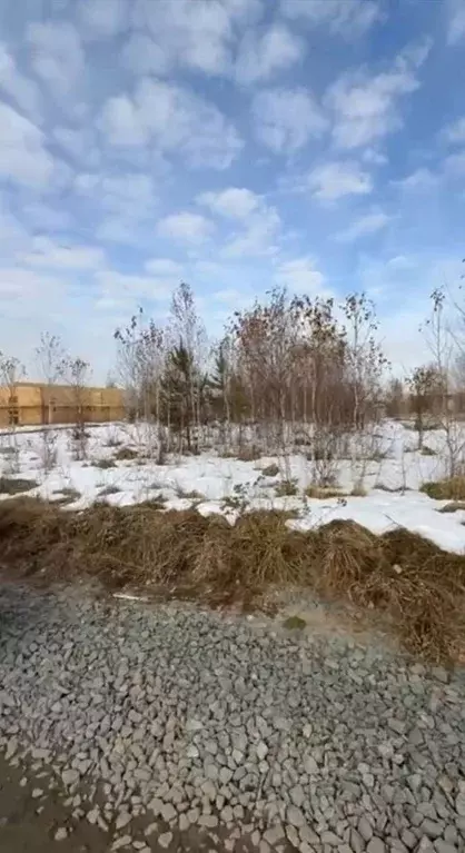 Участок в Новосибирская область, Новосибирский район, Кубовинский ... - Фото 1