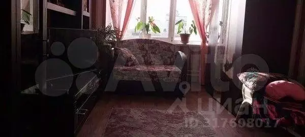1-к кв. Краснодарский край, Геленджик муниципальное образование, с. ... - Фото 0