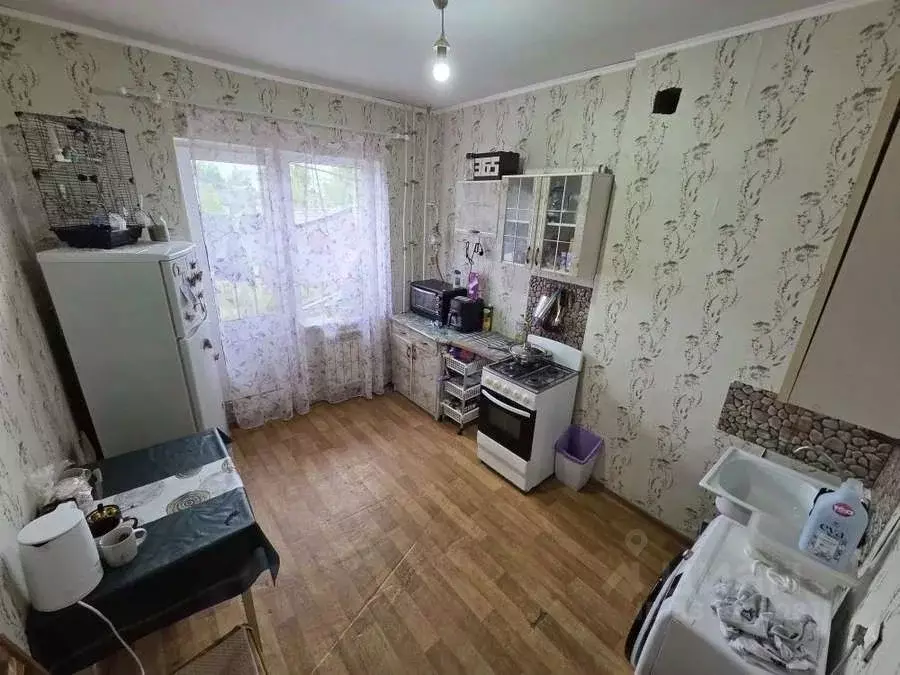 1-к кв. Новгородская область, Крестцы рп пер. Некрасова, 8/1 (31.7 м) - Фото 2