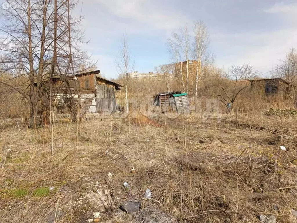 Участок в Новосибирск, садоводческое некоммерческое товарищество Лилия ... - Фото 0