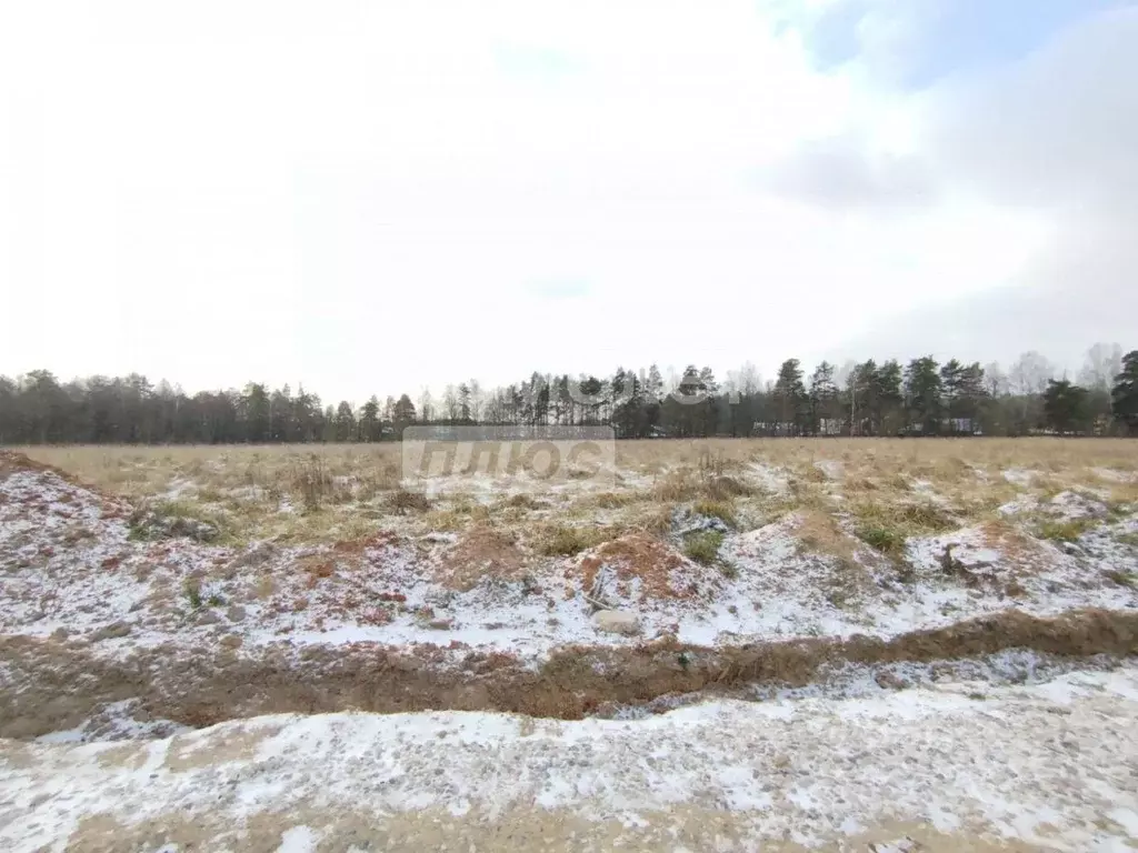 Участок, 11 сот., сельхоз (снт или днп) - Фото 1