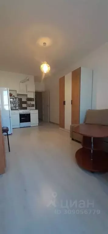 Студия Санкт-Петербург просп. Буденного, 23к5 (24.7 м) - Фото 1