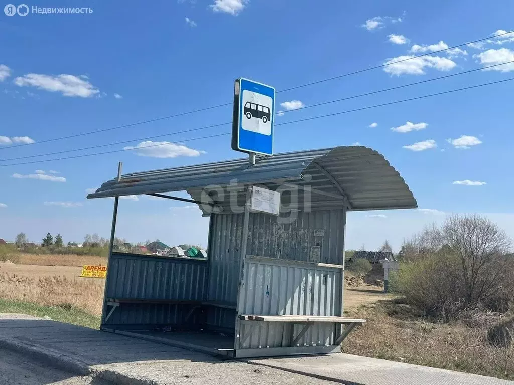 Участок в Тюмень, садовое товарищество Дорожник, Васильковая улица ... - Фото 1