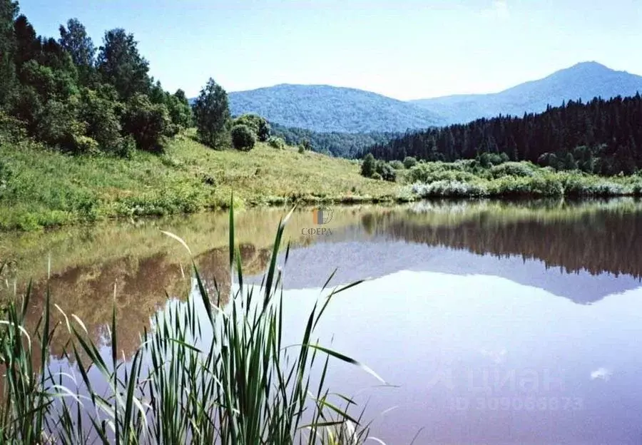 Участок в Алтай, Майминский район, с. Карасук  (2000.0 сот.) - Фото 0