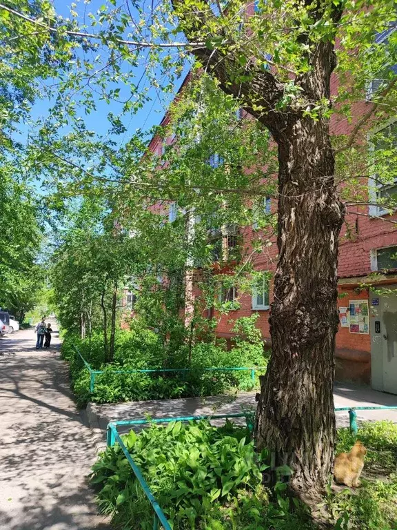 Комната Омская область, Омск ул. Петра Ильичева, 5 (13.6 м) - Фото 1