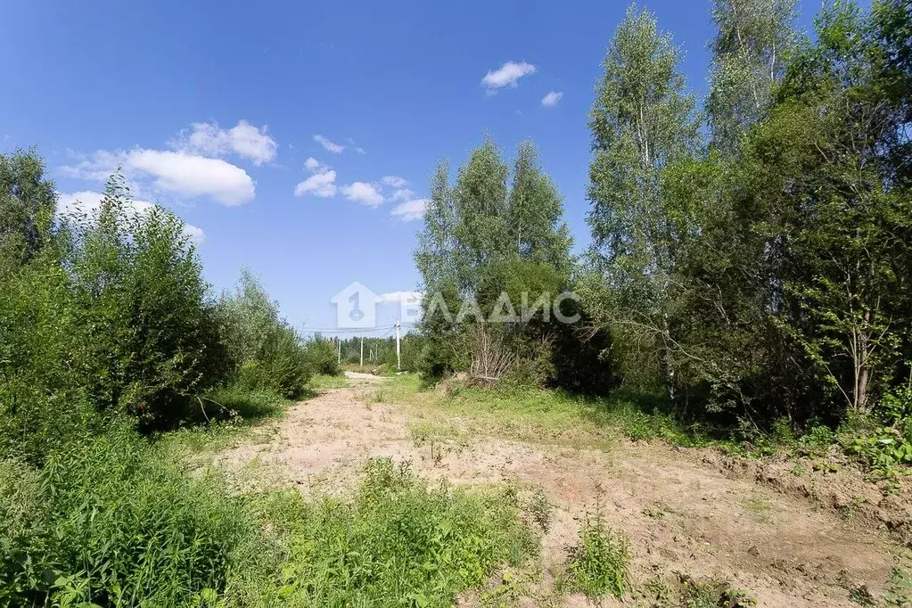 Участок в Владимирская область, Владимир ул. Вересковая (10.0 сот.) - Фото 0
