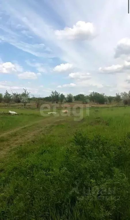 Участок в Ростовская область, Азов Азовский район, Соловьиный пер. ... - Фото 2