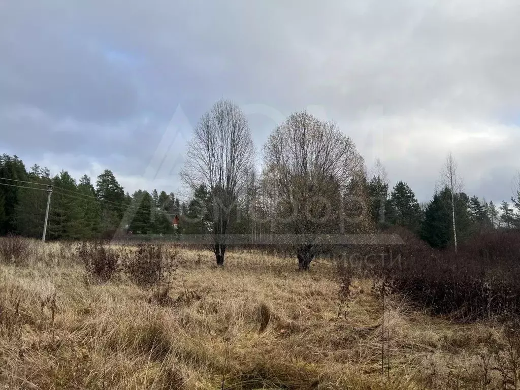 Участок в Ленинградская область, Выборгский район, Каменногорское ... - Фото 2