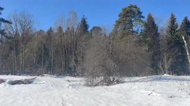Участок в Московская область, Щелково городской округ, д. Орлово  ... - Фото 1
