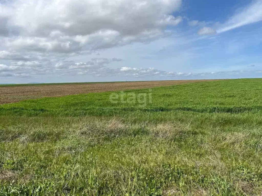 Участок в Крым, Ленинский район, с. Семисотка ул. Закияна (809.8 сот.) - Фото 1