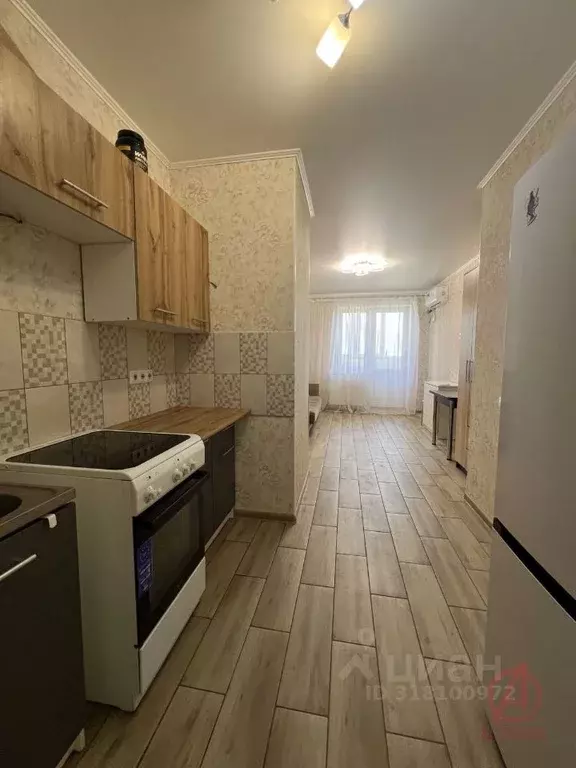 Студия Краснодарский край, Новороссийск Цемдолина тер., ул. Красина, ... - Фото 0