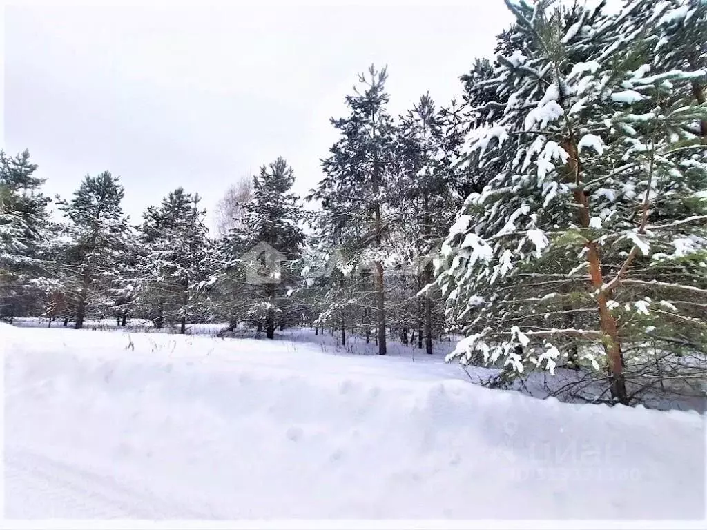 Участок в Владимирская область, Владимир Миловка СТ,  (37.3 сот.) - Фото 1