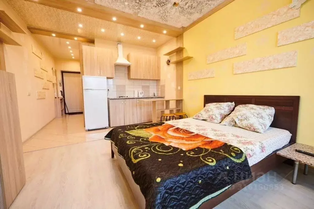 1-к кв. Московская область, Ногинск Богородский городской округ, ул. ... - Фото 2