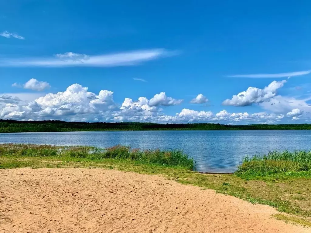 Участок в Ярославская область, Переславль-Залесский городской округ, ... - Фото 1