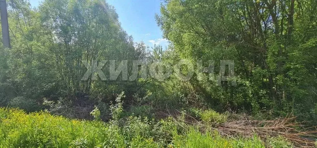 Участок в Брянская область, Жирятинское с/пос, с. Савлуково ул. ... - Фото 0