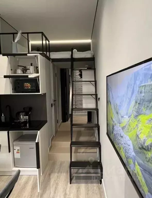 Студия Санкт-Петербург ул. Чехова, 4Б (16.0 м) - Фото 1