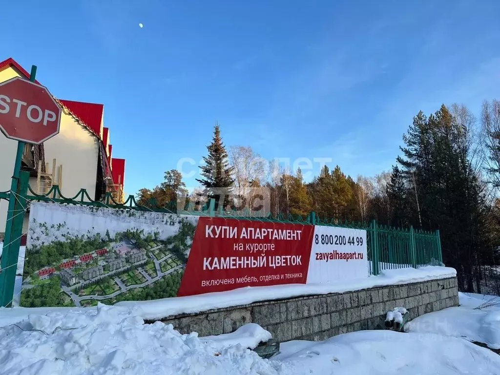 Студия Челябинская область, Трехгорный Горная ул., 10 (22.3 м) - Фото 1