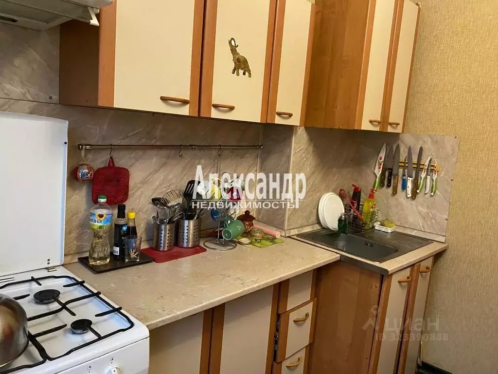 2-к кв. Ленинградская область, Сертолово Всеволожский район, Черная ... - Фото 2