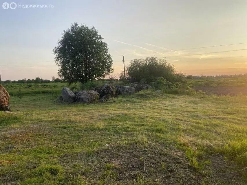 Участок в Рабитицкое сельское поселение, деревня Лиможа (20 м) - Фото 1