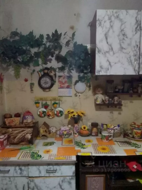 Комната Ленинградская область, Гатчинский район, д. Меньково 90 (24.0 ... - Фото 1