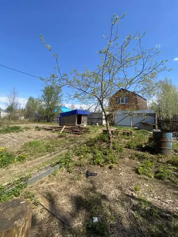 Участок в Ханты-Мансийский АО, Нижневартовск Нефтяник СОНТ, 166 (13.5 ... - Фото 2