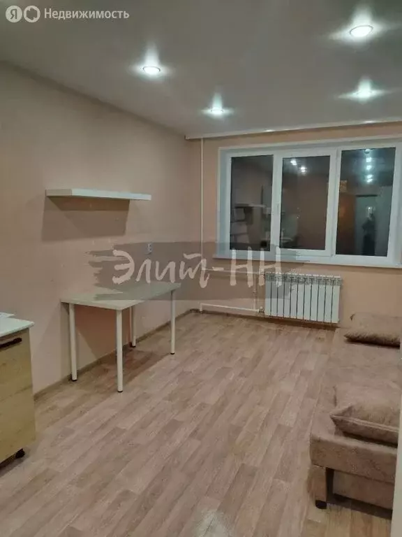 Квартира-студия: Балахна, улица Романа Пискунова, 2 (22.5 м) - Фото 2