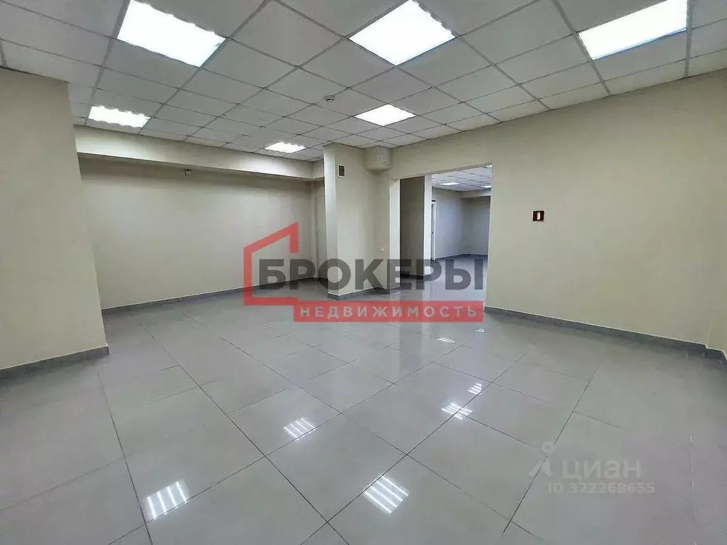 Помещение свободного назначения в Севастополь просп. Античный, 64к4 ... - Фото 2