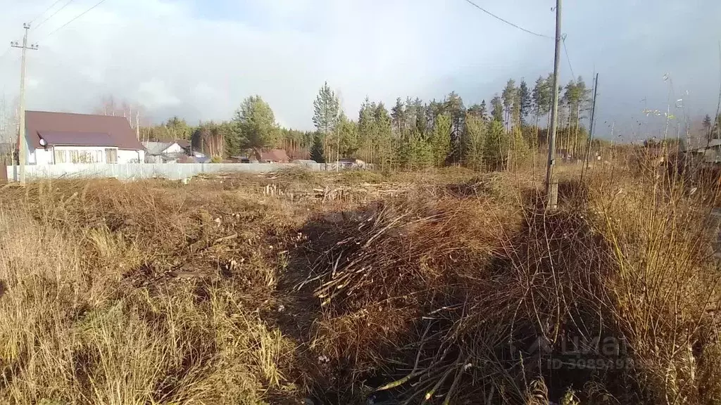 Участок в Коми, Сыктывкар городской округ, Краснозатонский пгт ул. ... - Фото 0