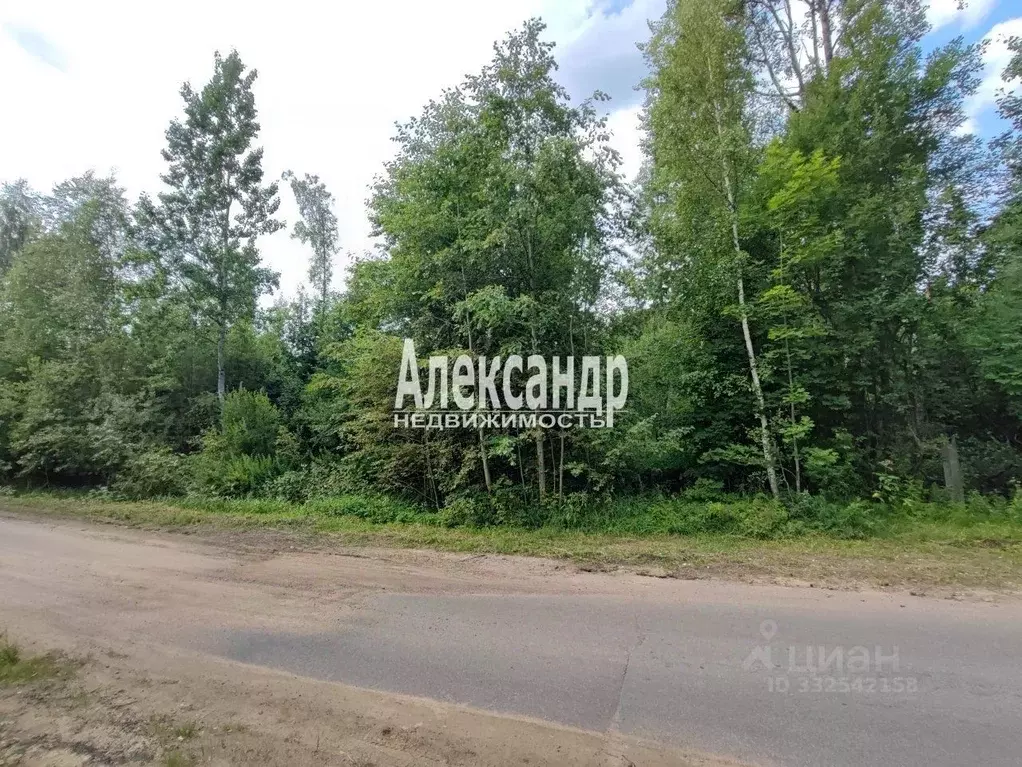 Участок в Санкт-Петербург пос. Парголово, Вокзальное ш. (12.0 сот.) - Фото 1
