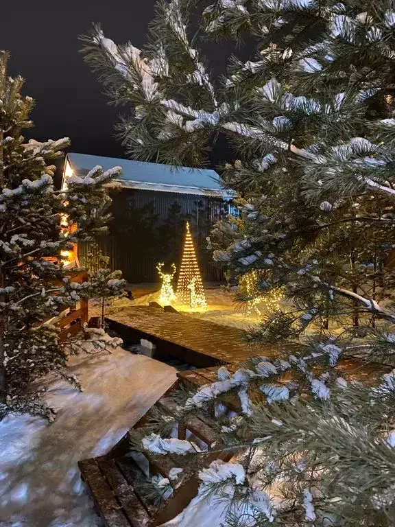 Дом в Челябинская область, Куса г. Кусинское городское поселение, ул. ... - Фото 2