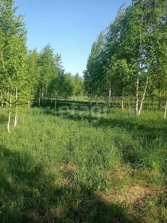 Участок в Кемеровская область, Кемерово Рудничное СНТ,  (10.0 сот.) - Фото 0