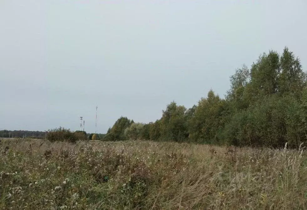 Участок в Московская область, Дмитровский муниципальный округ, д. ... - Фото 1