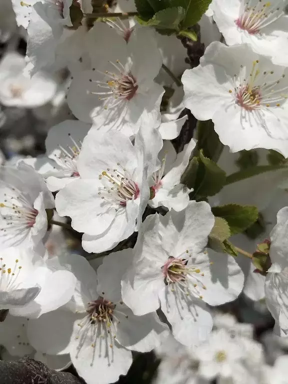 1-к кв. Краснодарский край, Ейск ул. Свободы, 38/2 (58.0 м) - Фото 2