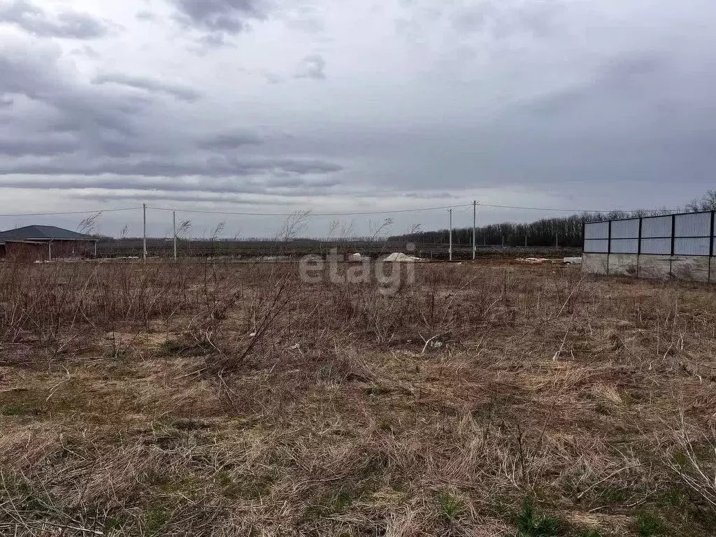 Участок в Ростовская область, Аксайский район, Щепкинское с/пос, ... - Фото 2
