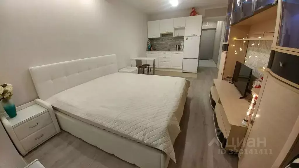 Студия Санкт-Петербург пос. Шушары, Школьная ул., 6к2 (27.0 м) - Фото 1