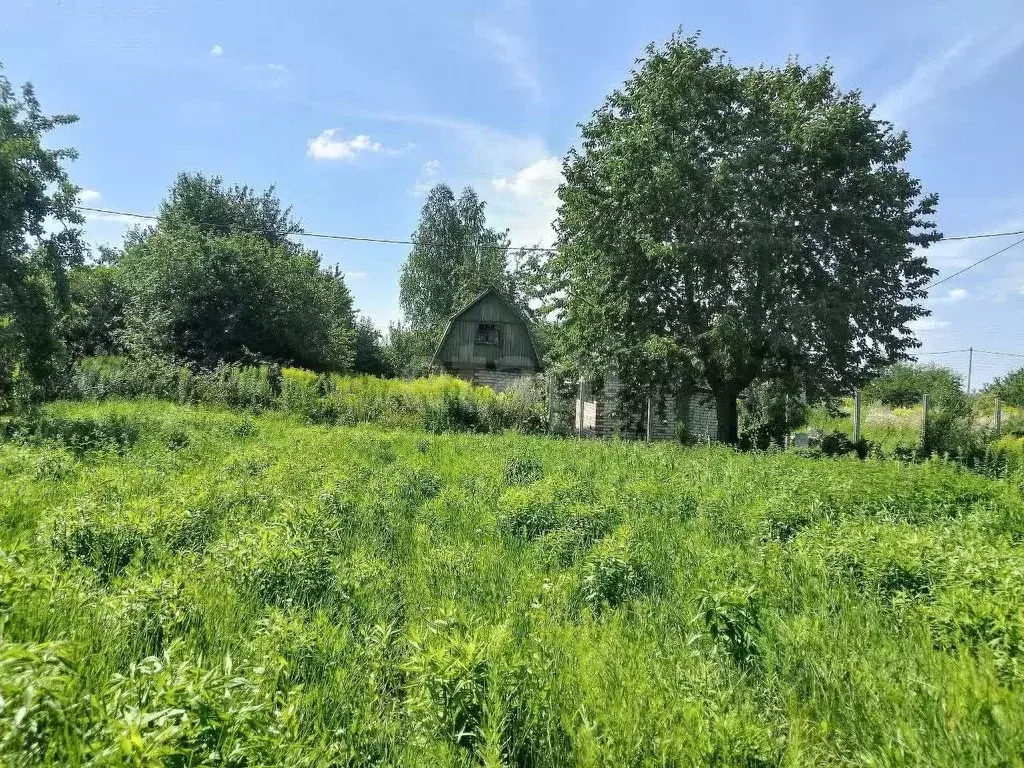 Участок в Брянская область, Брянский район, Мичуринское с/пос, ... - Фото 1